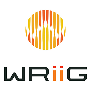 WRiiG Innovative Business Technology Consulting